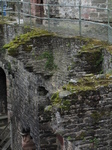 SX23266 Moss on Conwy Castle.jpg